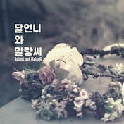 달언니